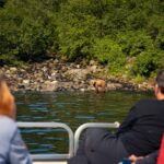 Bear viewing from pontoon boat at Redoubt Bay Alaska