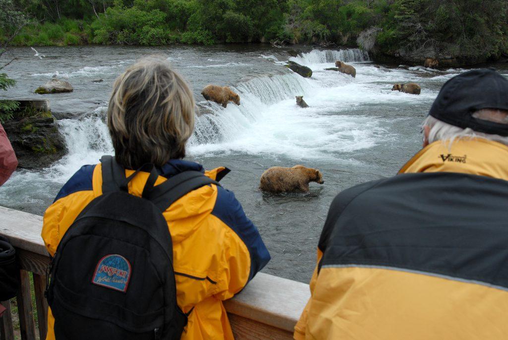 Katmai National Park Bears