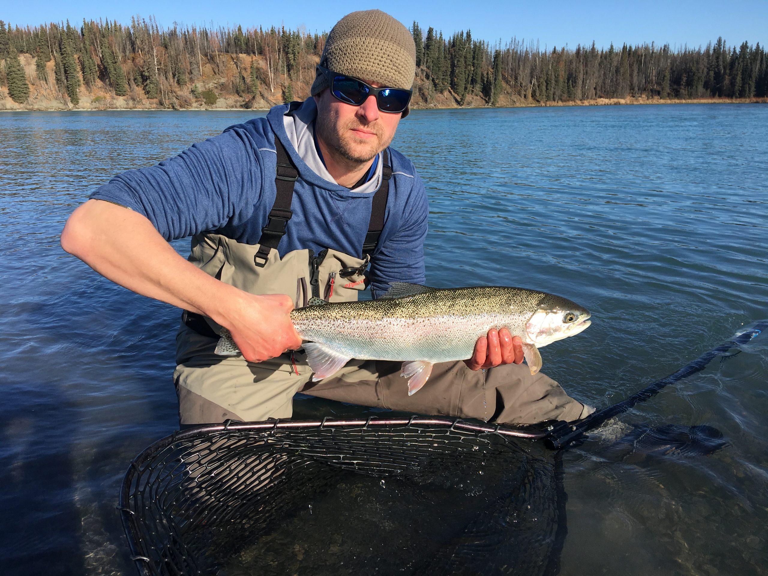 Pink Salmon - Alaska Fly Fishing Trips